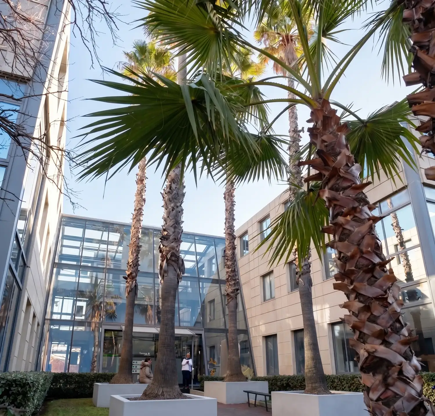 Locaux de Dexon à Sophia Antipolis